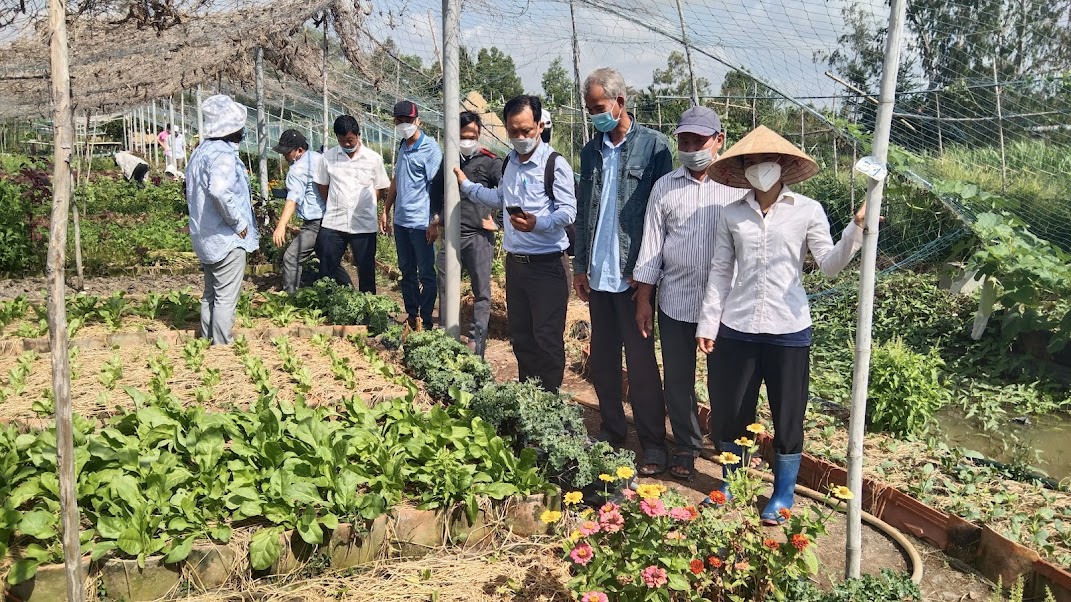 Nông dân tỉnh Đồng Tháp đến tham quan mô hình sản xuất rau hữu cơ tại tỉnh Bến Tre