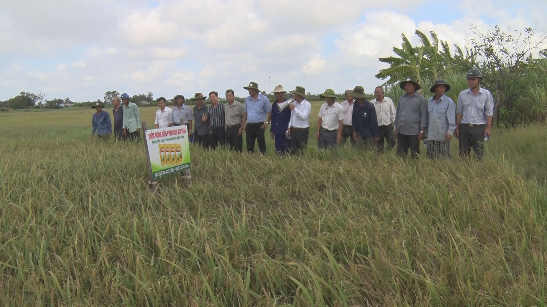 An Hòa Tây (Ba Tri) hội thảo đầu bờ mô hình sản xuất lúa hữu cơ