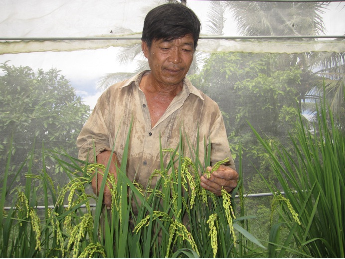 Ông Phạm Văn Nhựt-nhà nông chuyên lai tạo, phục tráng giống lúa giúp bảo tồn đa dạng sinh học ở đồng bằng sông Cửu Long 