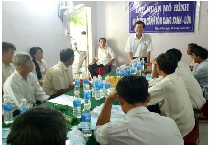 Xây dựng mô hình nuôi xen canh tôm càng xanh-lúa tại huyện Thạnh Phú 