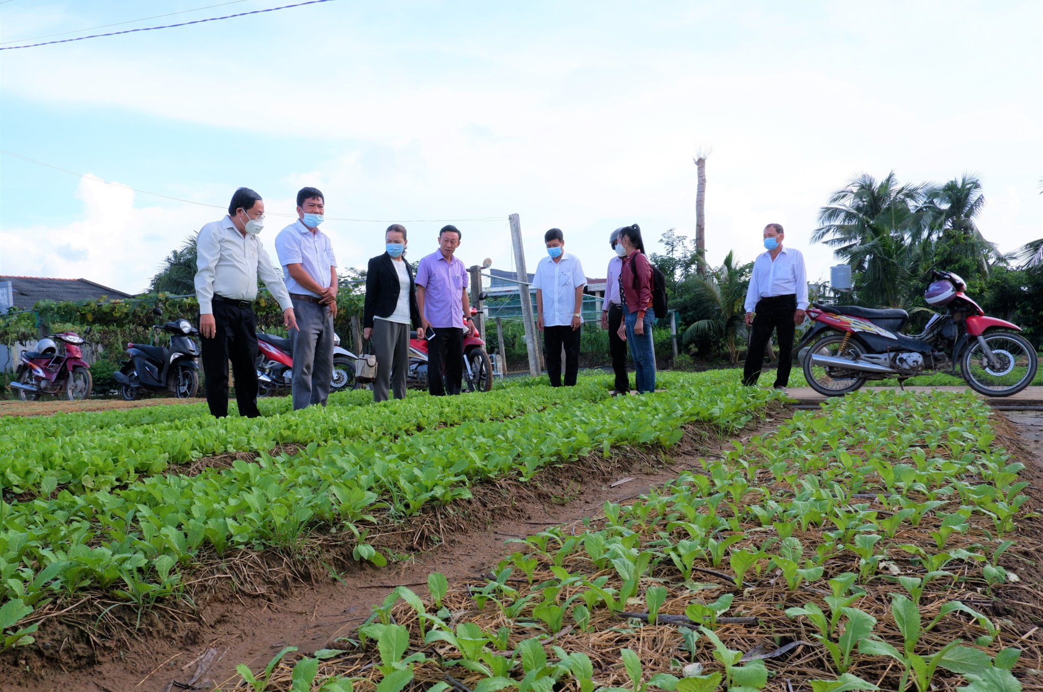 Thạnh Phú ứng dụng khoa học công nghệ để phát triển nền nông nghiệp hiệu quả và bền vững