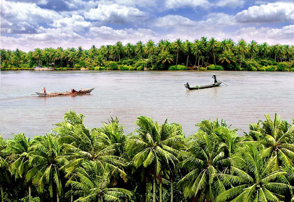  Vai trò của cây dừa trước nguy cơ biến đổi khí hậu mang tính toàn cầu 