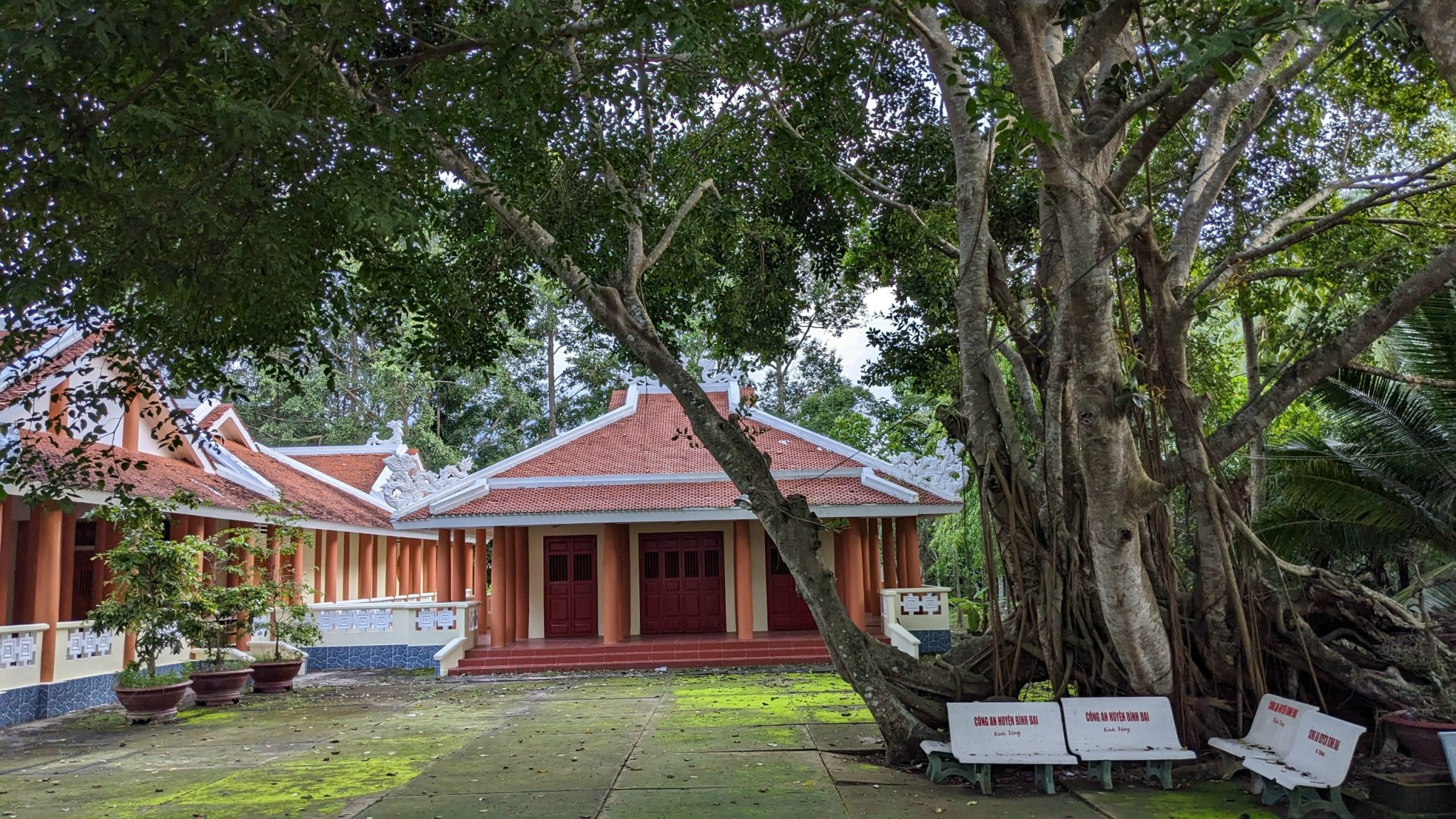 Cây đa Đình Tân Hưng và đền thờ kiến trúc sư Huỳnh Tấn Phát được công nhận là cây di sản Việt Nam