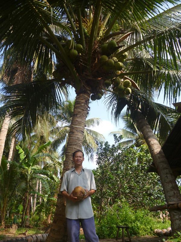  Võ Duy Kha, gương nông dân trồng dừa giỏi 