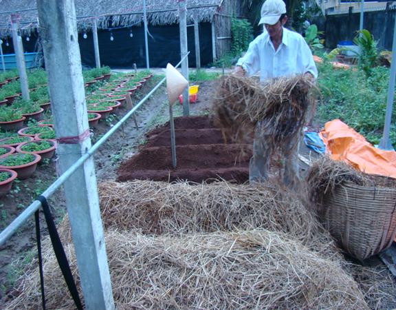 Một số phương pháp xử lý bã thải sau trồng nấm 