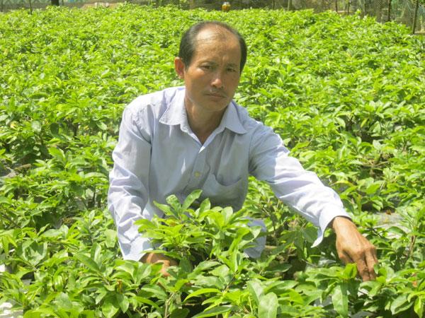 Nông dân Phan Văn Trạng thành công với mô hình kinh tế vườn kết hợp hoa kiểng