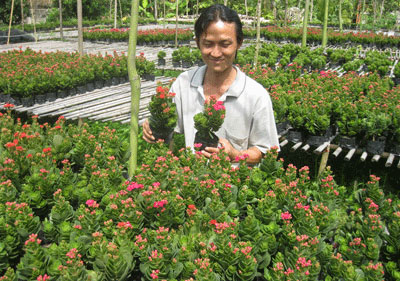 Anh Nguyễn Văn Tuấn với mô hình trồng hoa sống đời Thái 