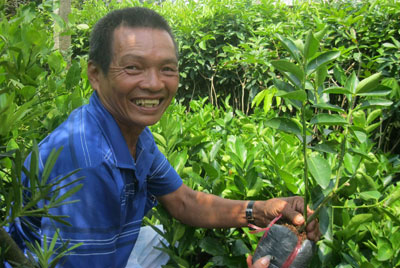 Nghề sản xuất cây giống của gia đình ông Nguyễn Văn Hai