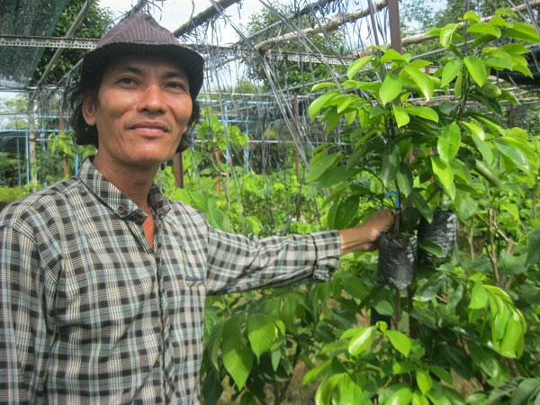Anh Lê Văn Thảo trở thành tỷ phú nhờ sản xuất cây giống mãng cầu